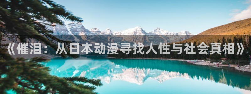 一点动漫官网：《催泪：从日本动漫寻找人性与社会真相》