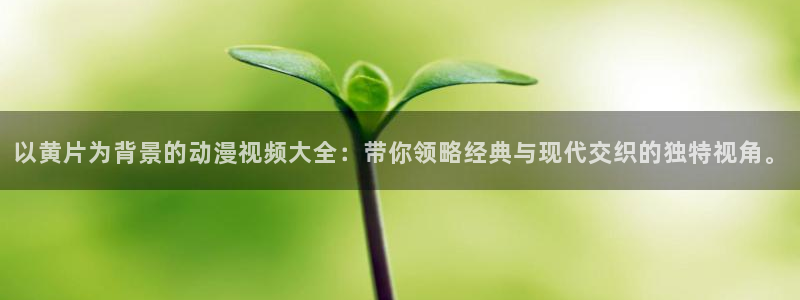 一点动漫免费观看高清：以黄片为背景的动漫视频大全：带你领略经典与现代交织的独特视角。
