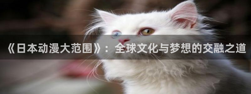 一点动漫.：《日本动漫大范围》：全球文化与梦想的交融之道